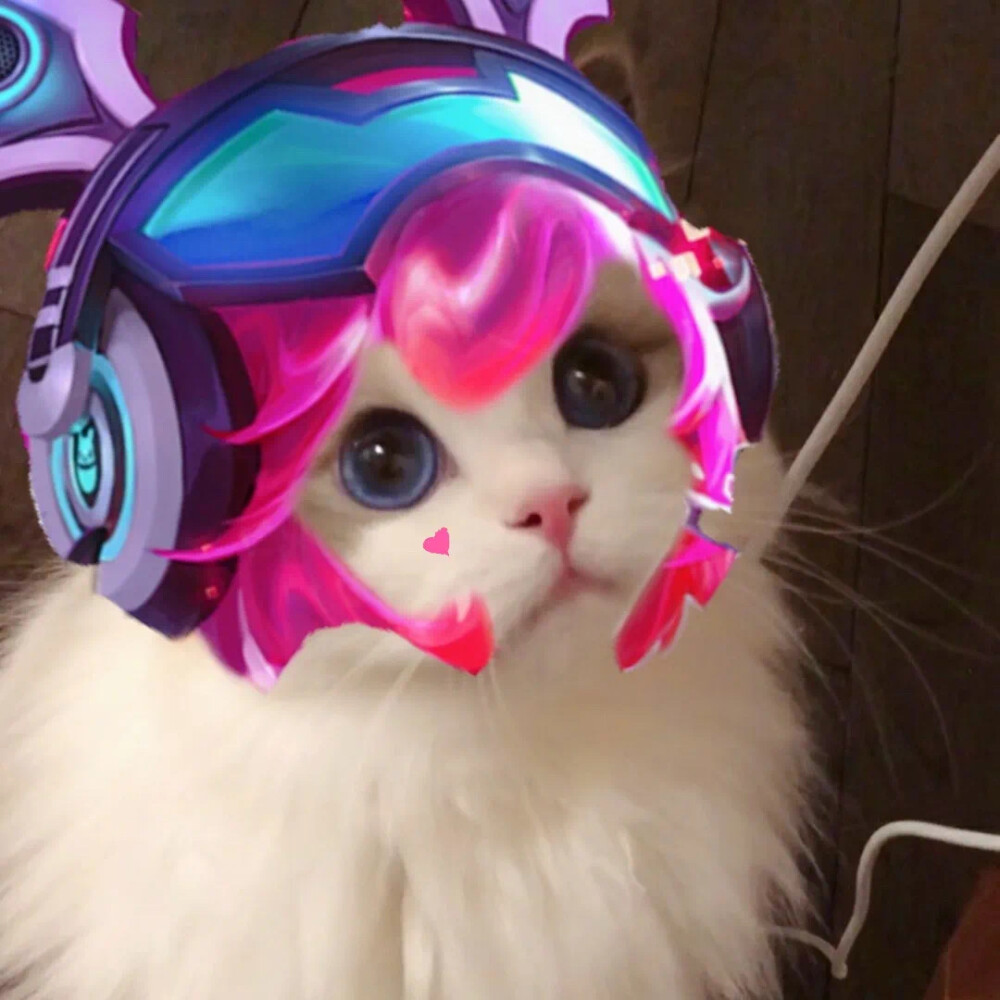 宠物狗毛犬:毛茸茸的家庭伙伴与贴心小卫士 宠物狗毛犬:毛茸茸的家庭伙伴与贴心小卫士