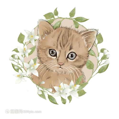 宠物狗萨摩耶吃东西：揭秘萨摩耶的饮食习惯与趣味瞬间